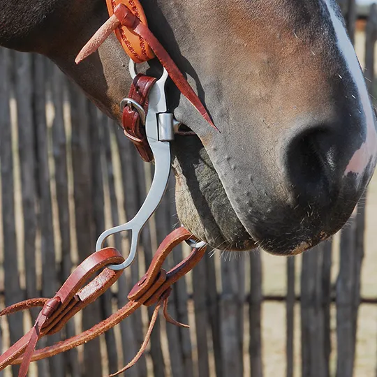 Classic Equine 7" Shank Performance Ported Chain Bit